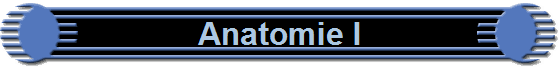 Anatomie I